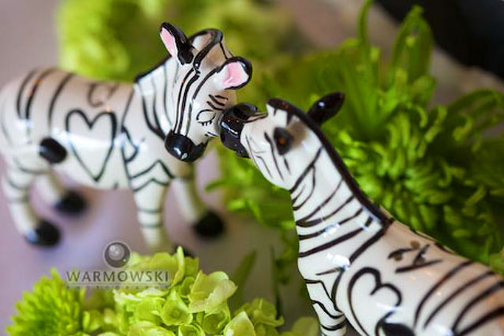 The week of the wedding Audra found these kissing zebra saltandpepper 