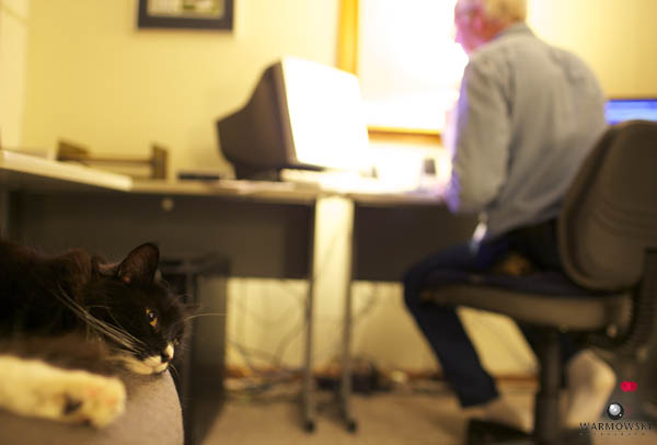 Robert E. Holmes works as his cat naps.