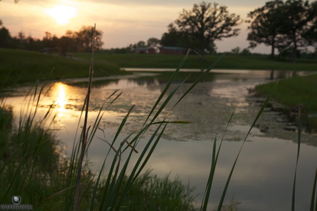 One of the ponds at Buena Vista Farms at sunset.