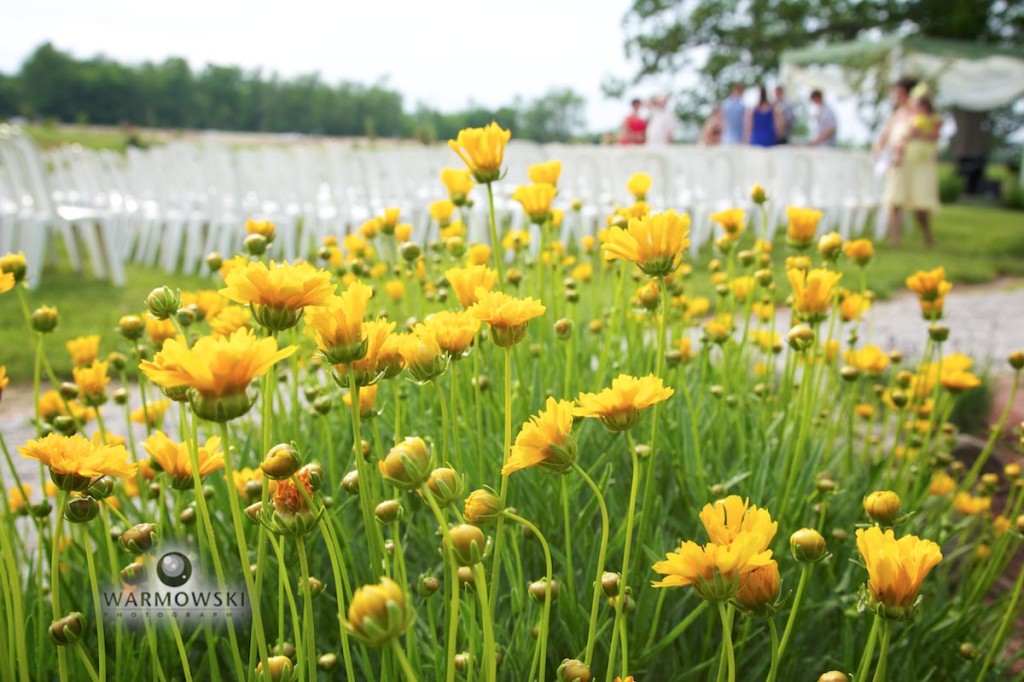 Flowers at outdoor wedding area at Buena Vista (by Warmowski Photography).